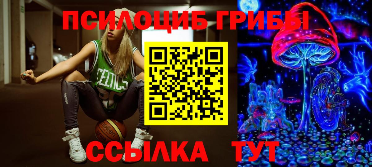 Самара  Псилоцибиновые грибы Cubensis  Вход с VPN 