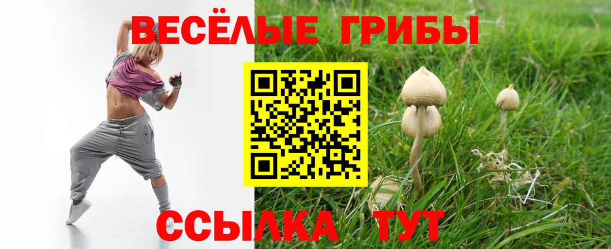 Псилоцибиновые грибы GOLDEN TEACHER Самара